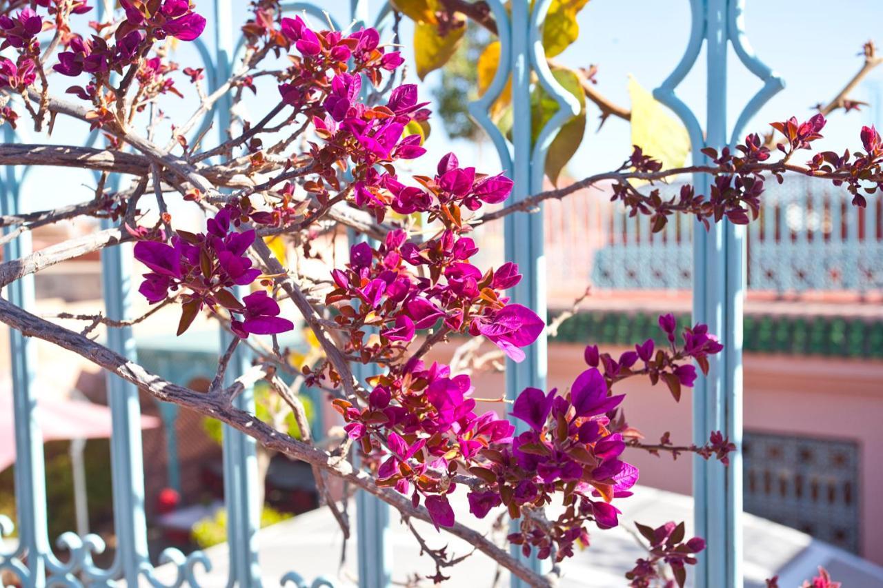 Riad Atlas Acacia Marrakesh Eksteriør bilde